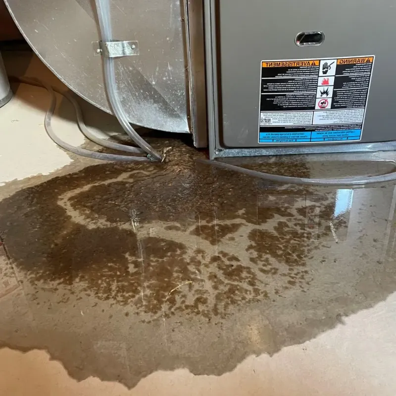 Pipe Burst and Leak Restoration in Ciales Municipio, PR